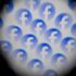 Facebook and Instagram Faced Scrutiny Over Thousands of AI ‘Nudify’ Ads Linked to China-Based Partner