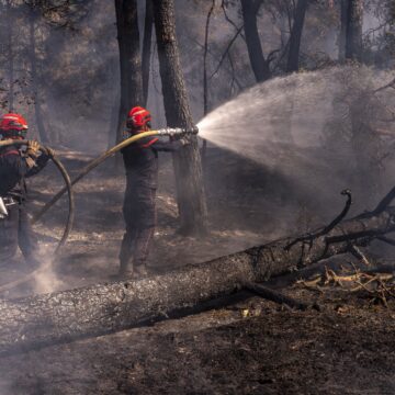 France Wildfire Crisis Escalates as More Than 220,000 Evacuate Amid Extreme Heat