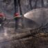 France Wildfire Crisis Escalates as More Than 220,000 Evacuate Amid Extreme Heat
