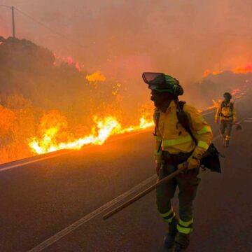 Spain Wildfire Tragedy: Deadly Blaze in Andalusia Claims 12 Lives as Heatwave Intensifies Crisis