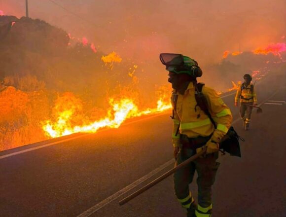95265064-5bc1-40e2-a7d6-afad78fe5b1b Spain Wildfire Tragedy: Deadly Blaze in Andalusia Claims 12 Lives as Heatwave Intensifies Crisis