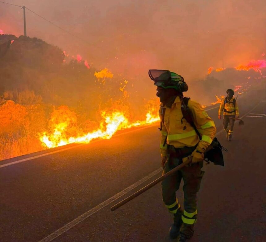Spain Wildfire Tragedy: Deadly Blaze in Andalusia Claims 12 Lives as Heatwave Intensifies Crisis