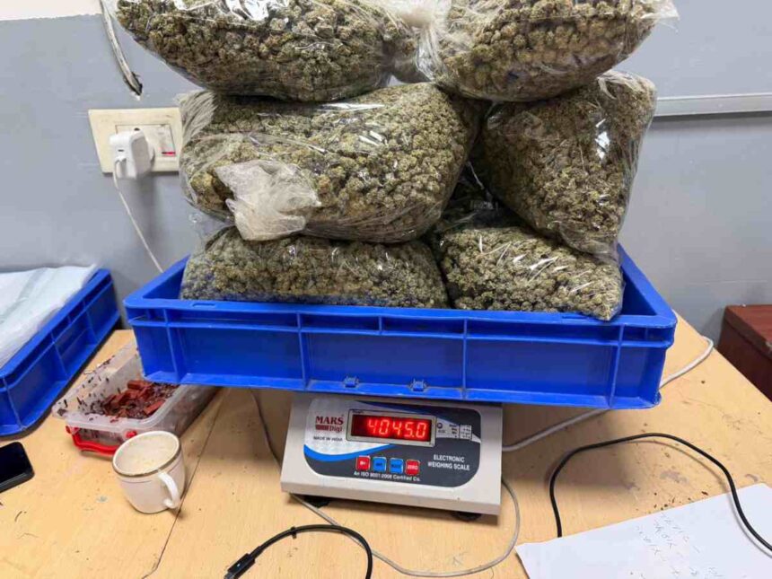 Drugs Delhi Airport Drug Bust: 64 Kg of Hydroponic Cannabis Seized from Aircraft, Three Arrested in Major Smuggling Operation