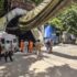 Sikkim Tunnel Tragedy: Death Toll Rises as Rescue Teams Recover More Bodies Amid Hazardous Conditions