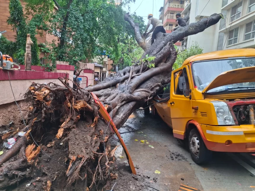 WhatsApp-Image-2026-06-30-1782822162891 Chembur School Bus Tragedy: Child Killed After Tree Collapse Sparks Probe Into Roadworks and Tree Safety in Mumbai