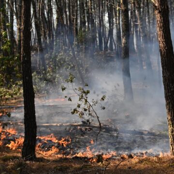 Southern Europe Engulfed by Devastating Wildfires as Firefighters Lose Lives and France Battles Record-Breaking Blaze