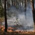 Southern Europe Engulfed by Devastating Wildfires as Firefighters Lose Lives and France Battles Record-Breaking Blaze