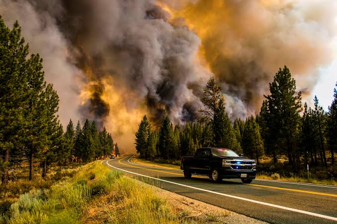 images (13) Mount Diablo Wildfire Forces Evacuations as Clayton Morgan Fire Rapidly Expands in California