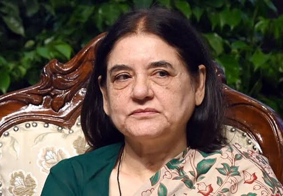 Maneka Gandhi’s Peacock Feather Remarks Trigger Dispute with Jain Organisations Over Wildlife Trade Claims