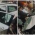 Speeding Car Crashes Into Tree in Pune, Two Injured as Drunk Driving Suspected