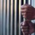 Indian National Sentenced to Over Two Years in Singapore for ₹1.49 Crore Diamond Theft
