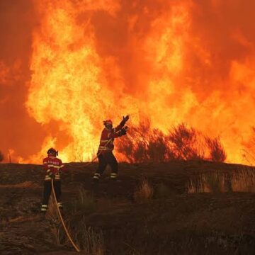 images (57) US Battles More Than 100 Wildfires as Extreme Heat and Smoke Trigger Mass Evacuations