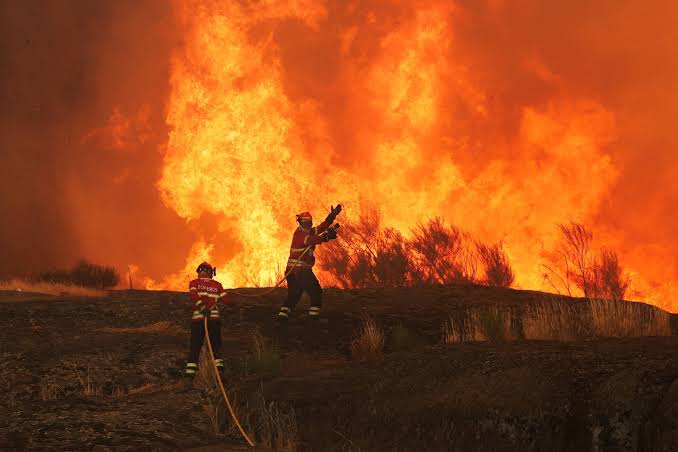 images (57) US Battles More Than 100 Wildfires as Extreme Heat and Smoke Trigger Mass Evacuations