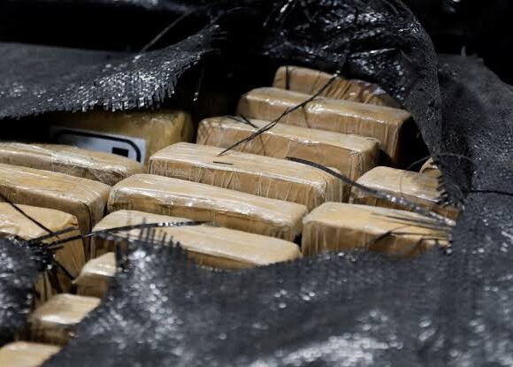 images (8) US Authorities Seize 22 Kg Cocaine Hidden Inside Music Equipment Shipment Bound for India
