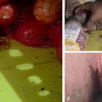 Blinkit Food Licence Suspended in Mumbai After Cockroach Infestation, Expired Food Found