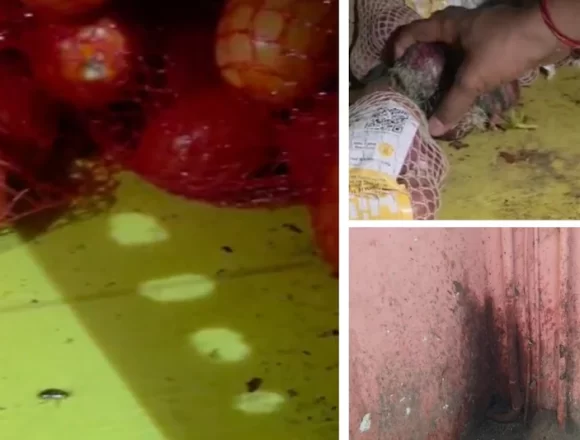Blinkit Food Licence Suspended in Mumbai After Cockroach Infestation, Expired Food Found