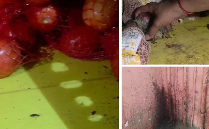 6a7a9fb99e5b0-blinkit-stores-licence-suspended-by-maharashtra-fda-110612110-16x9 Blinkit Food Licence Suspended in Mumbai After Cockroach Infestation, Expired Food Found