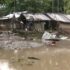 Heavy Monsoon Fury Across India Leaves Over 100 Dead as Floods and Landslides Disrupt Life in Multiple States