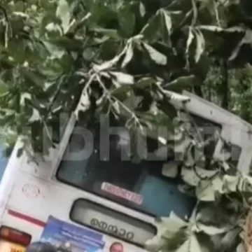 ksrtc-bus-jpg Kerala KSRTC Bus Accident: Woman Dies, Several Injured After Vehicle Skids on Nelliyampathy Ghat Road