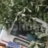 Kerala KSRTC Bus Accident: Woman Dies, Several Injured After Vehicle Skids on Nelliyampathy Ghat Road