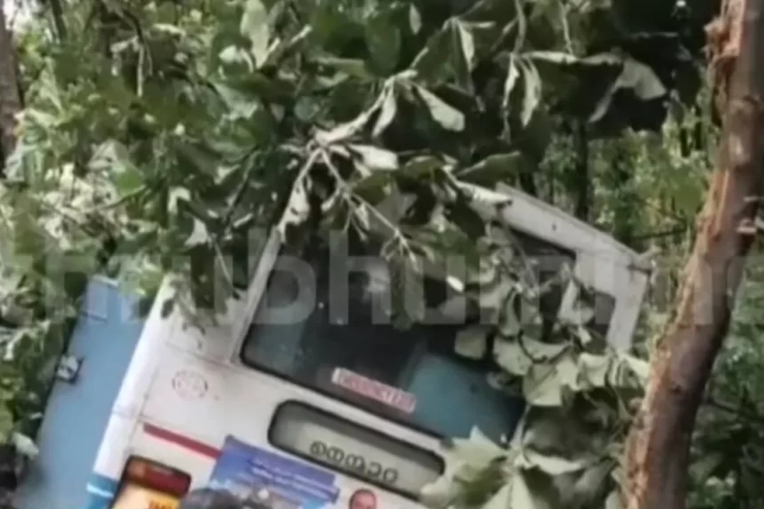 Kerala KSRTC Bus Accident: Woman Dies, Several Injured After Vehicle Skids on Nelliyampathy Ghat Road