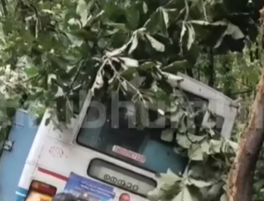 Kerala KSRTC Bus Accident: Woman Dies, Several Injured After Vehicle Skids on Nelliyampathy Ghat Road