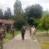 Four Naga Men Found Dead Near Myanmar Border in Manipur’s Kamjong